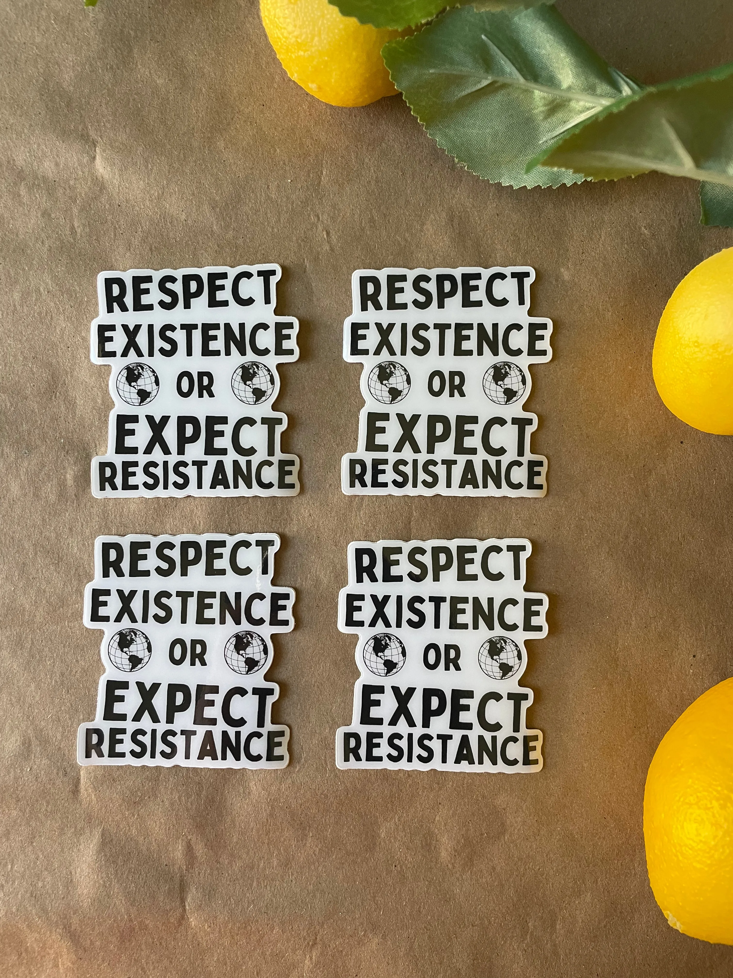 Respect Existence or Expect Resistance | Sticker